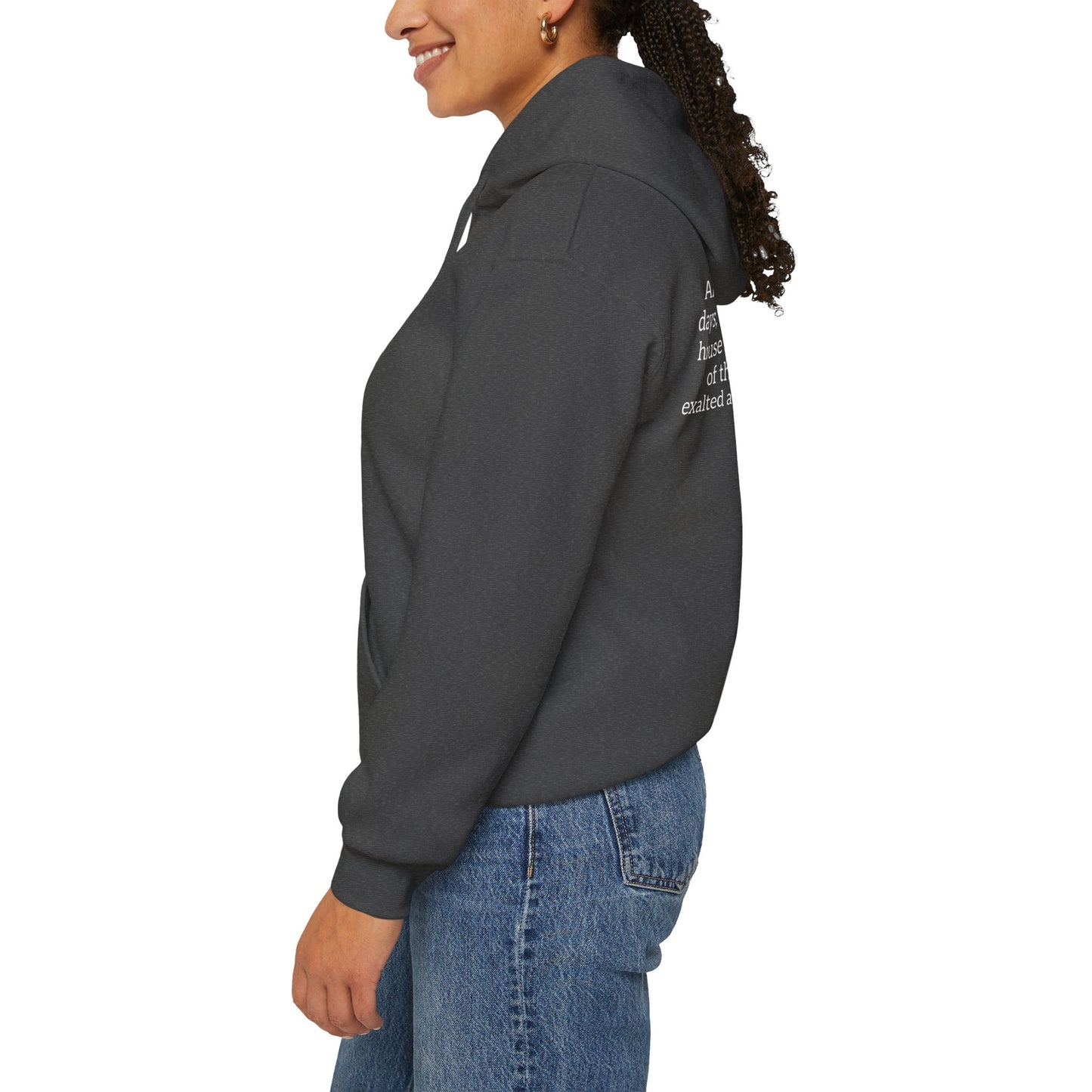 Mountain of the Lord's House Hoodie