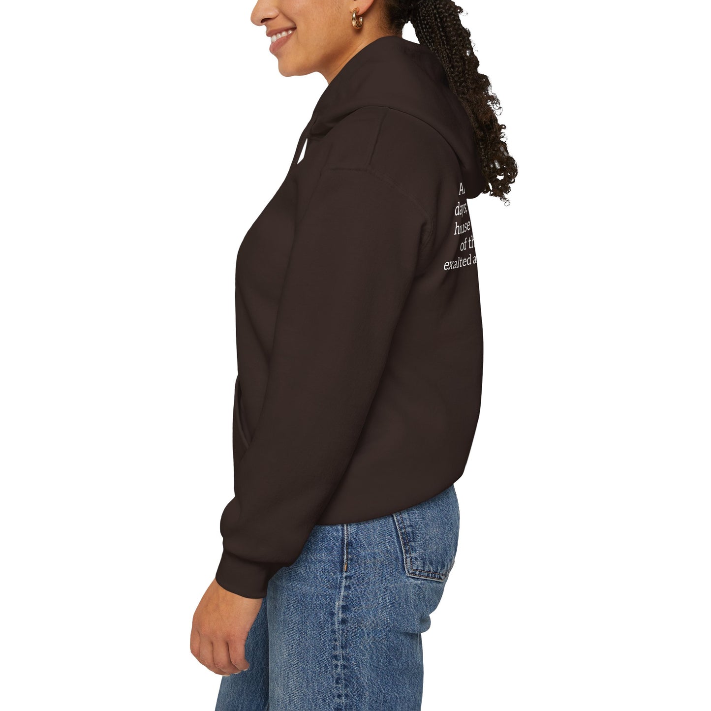 Mountain of the Lord's House Hoodie