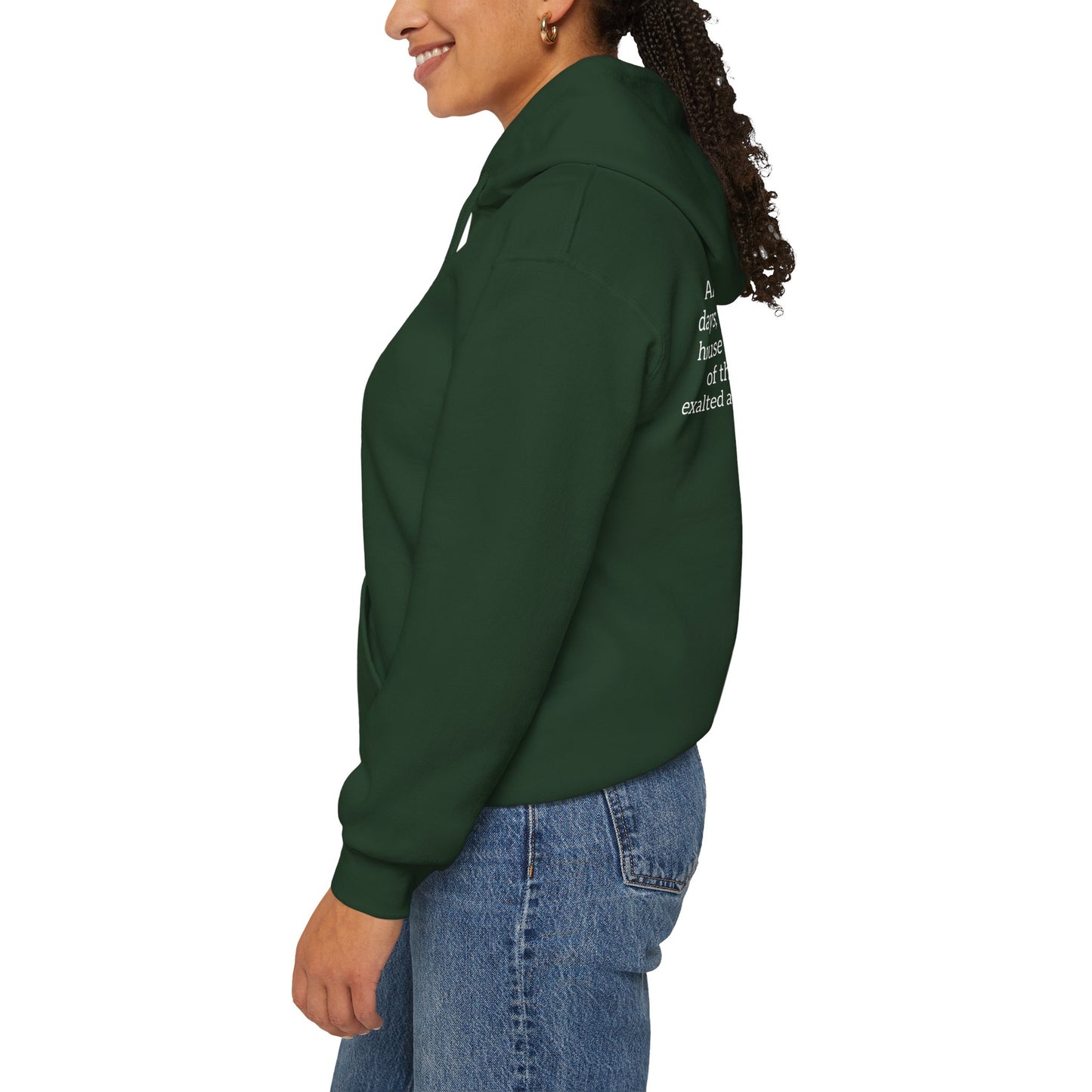 Mountain of the Lord's House Hoodie