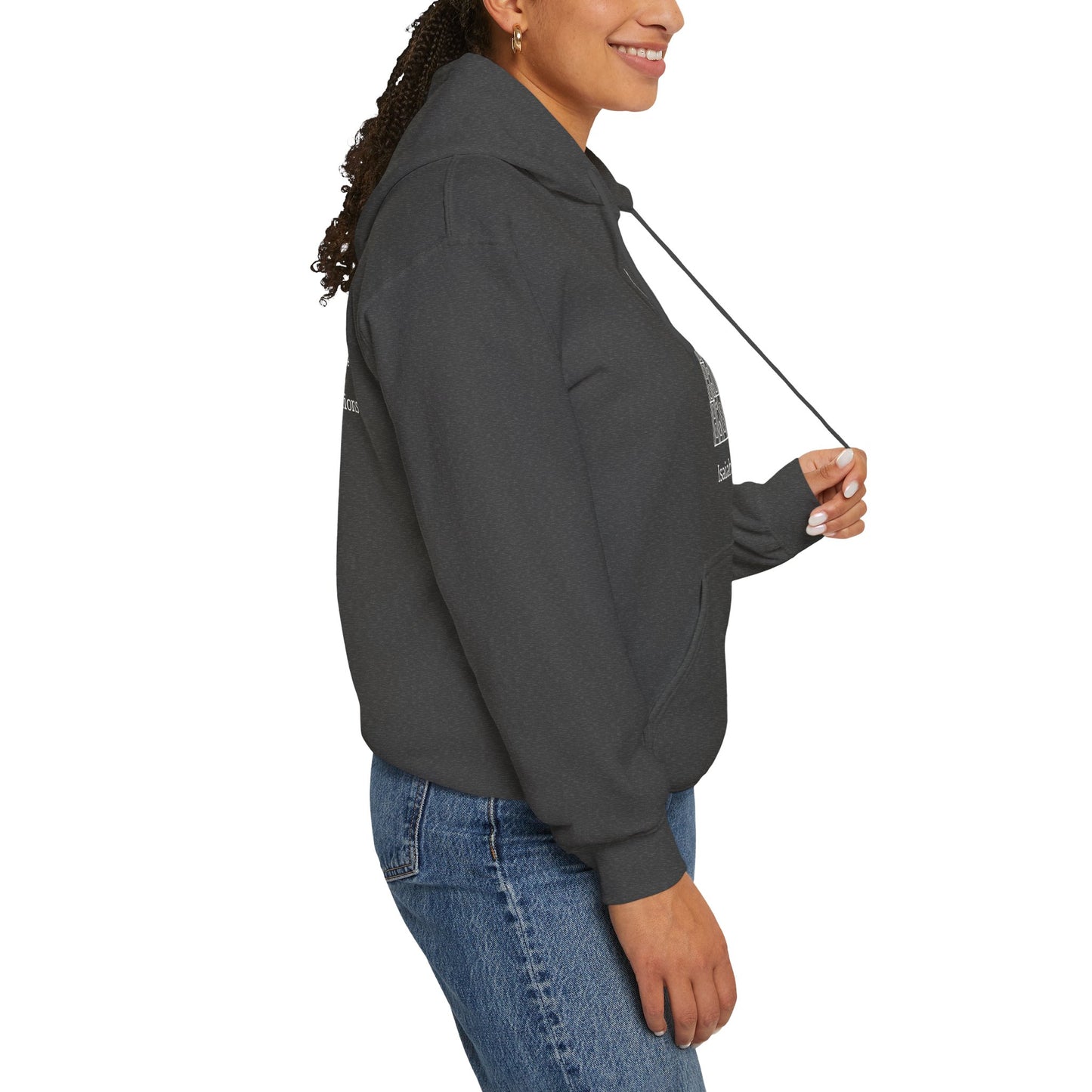 Mountain of the Lord's House Hoodie