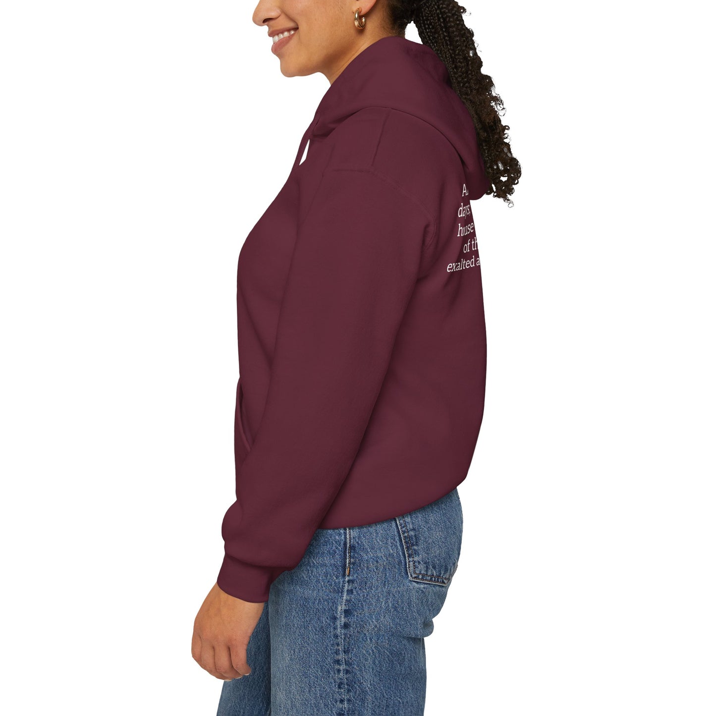 Mountain of the Lord's House Hoodie
