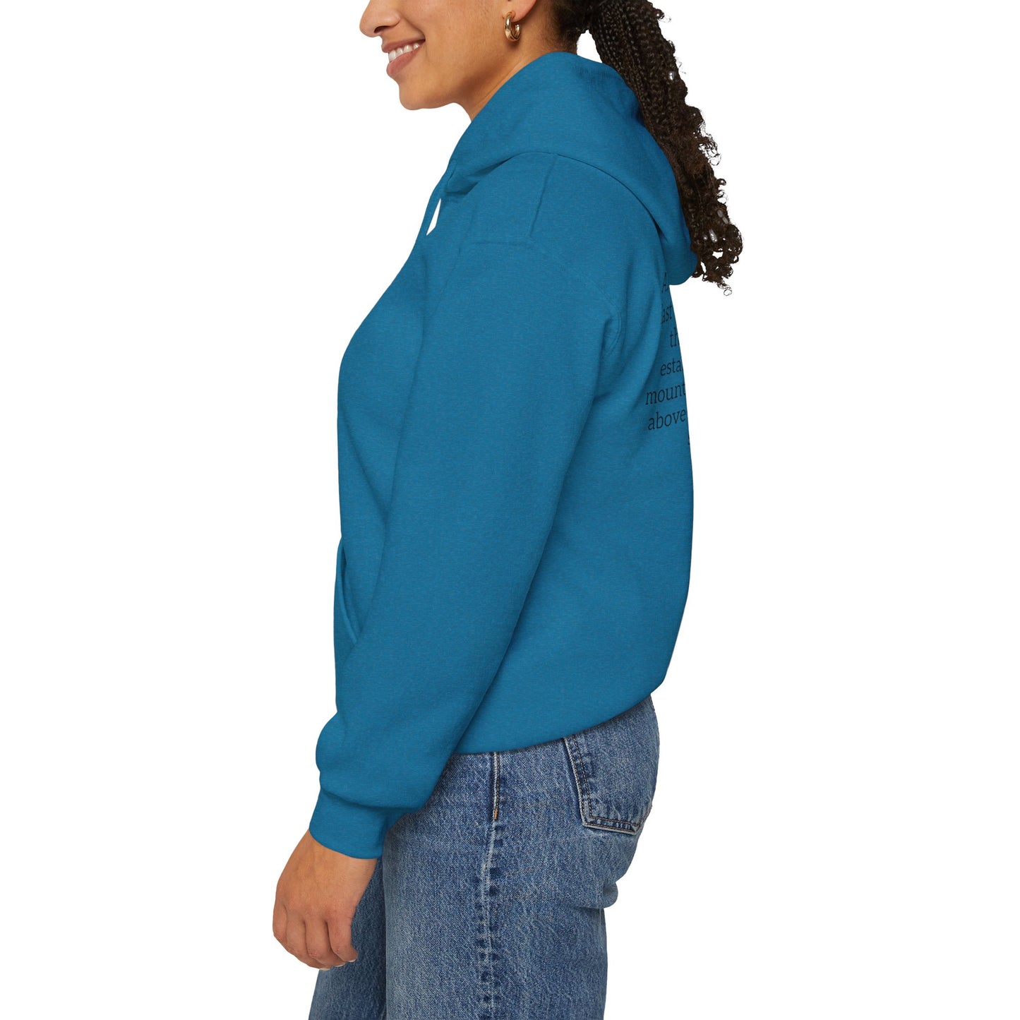 Mountain of the Lord's House Hoodie