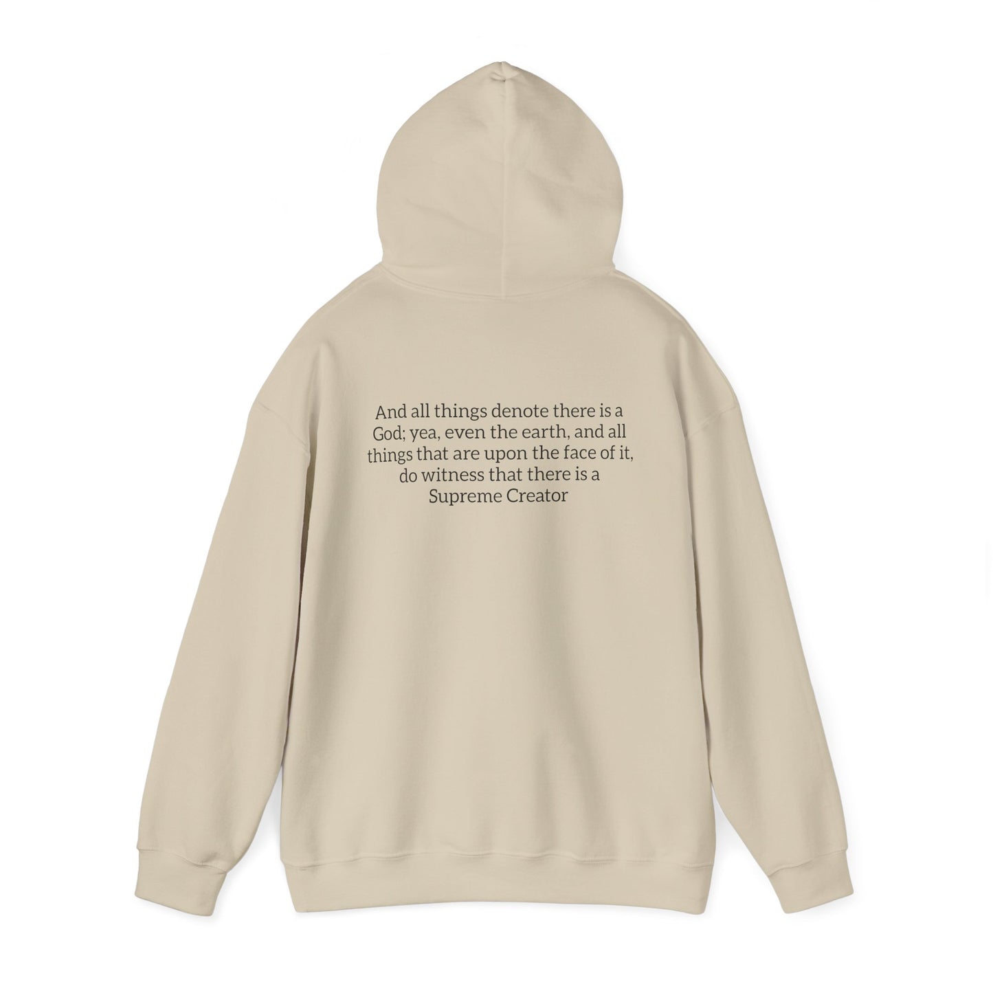 All Things Denote There is a God Hoodie