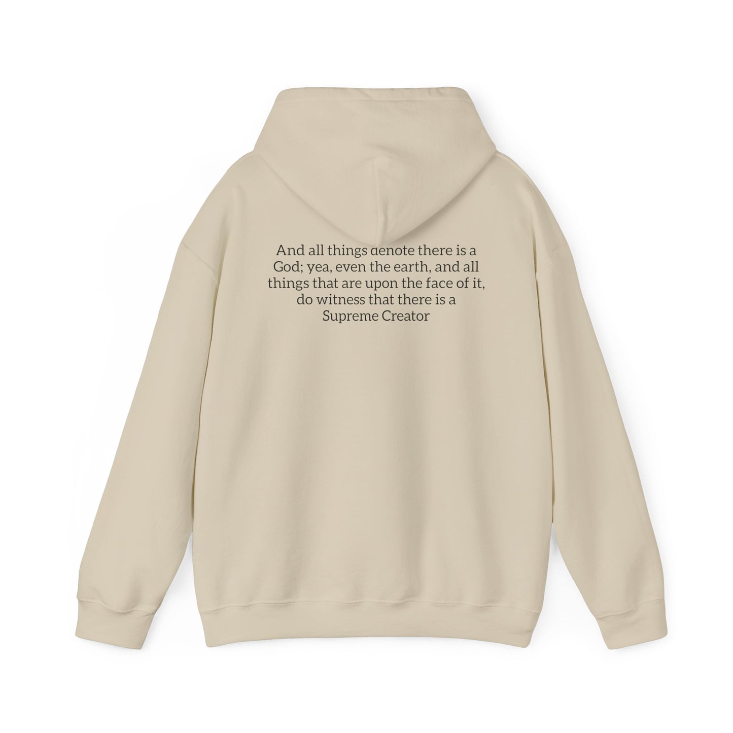 All Things Denote There is a God Hoodie