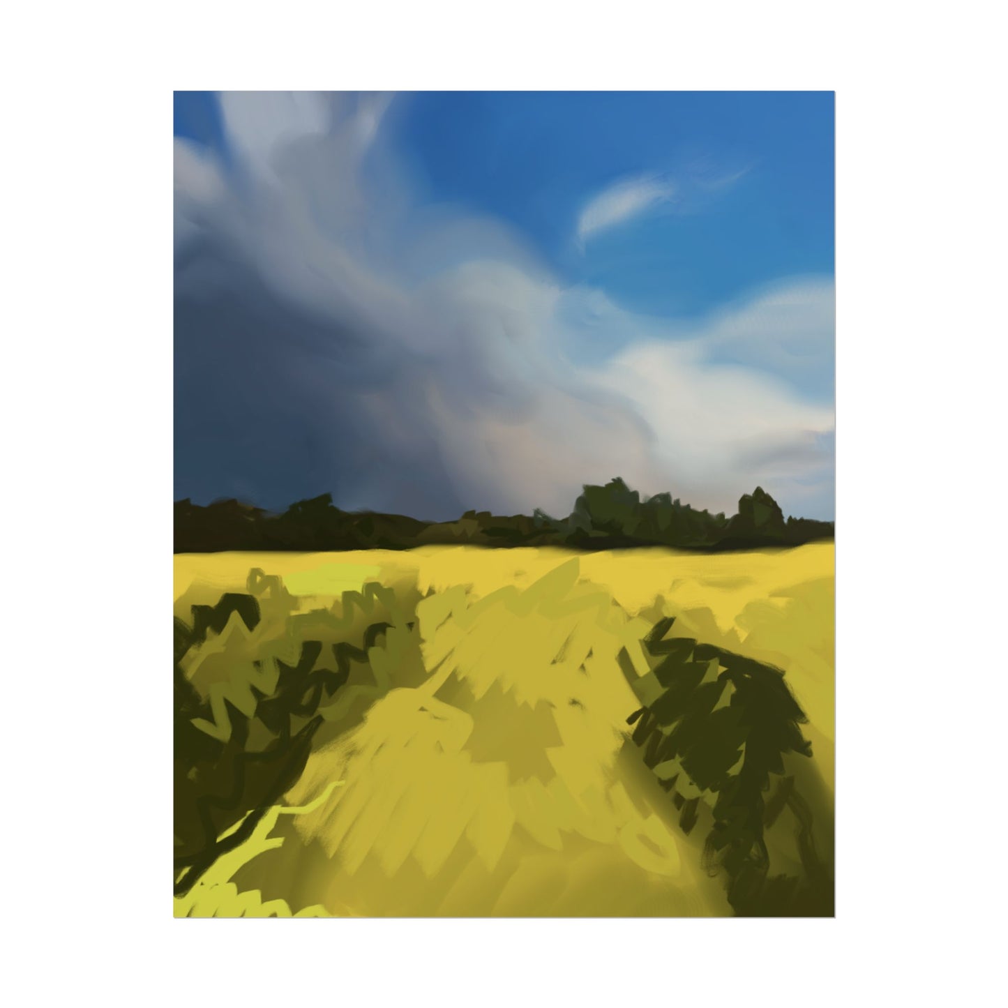 Ukraine Rolled Poster