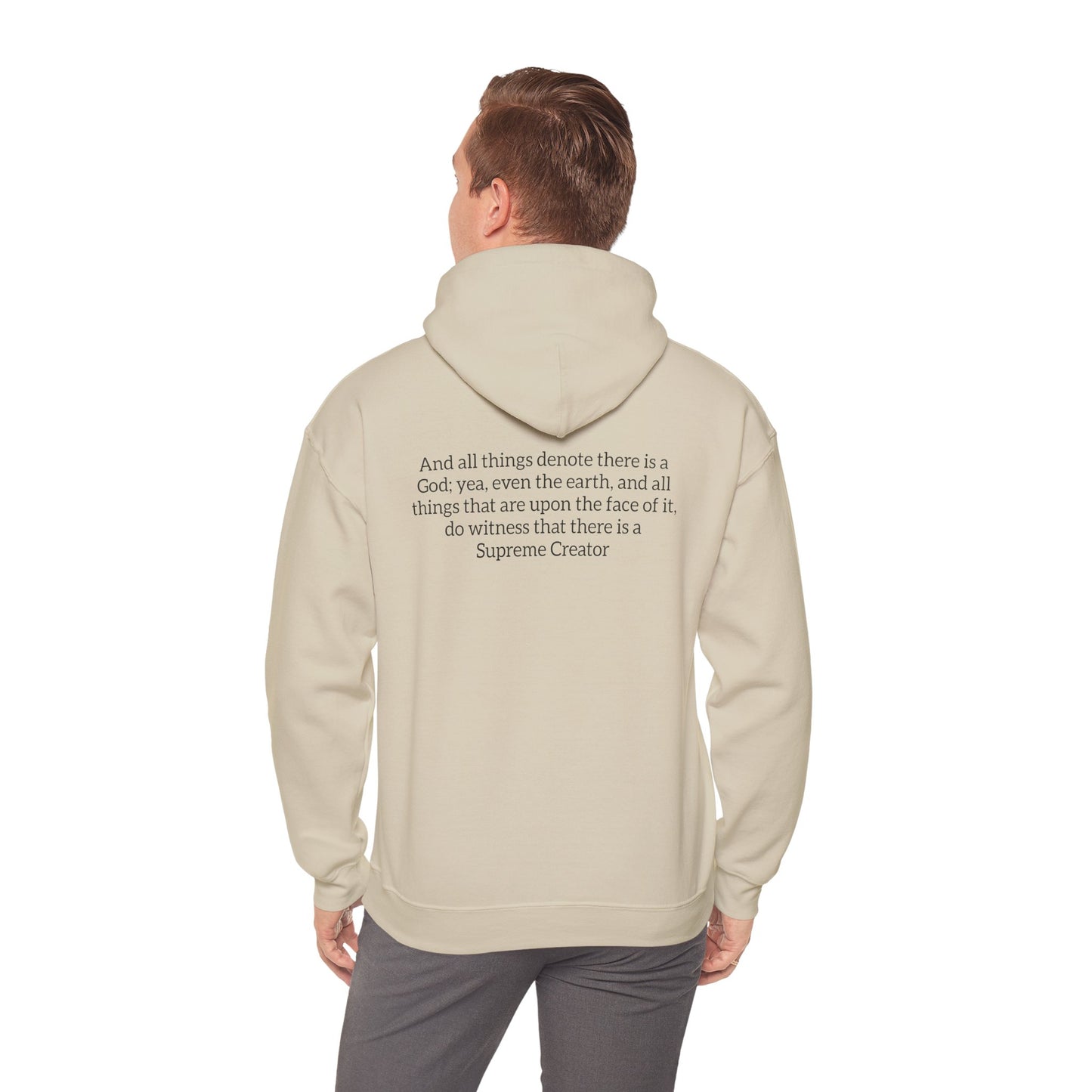 All Things Denote There is a God Hoodie